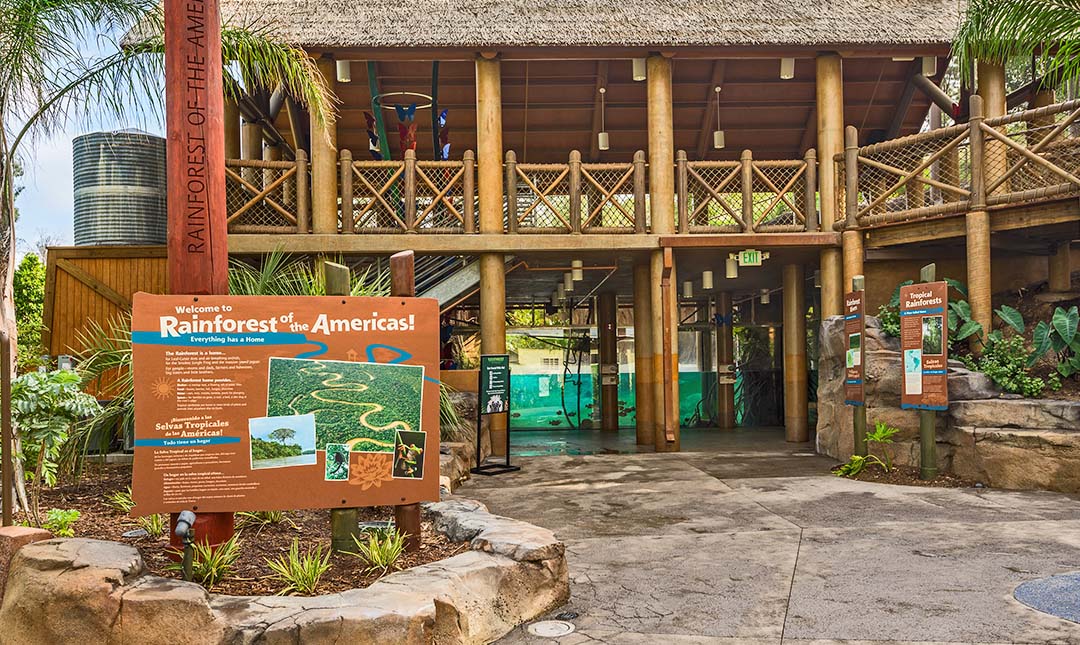 Rainforest of the Americas Rainforest of the Americas