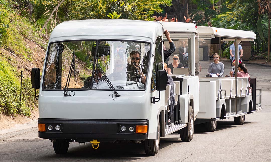 Safari Shuttle Safari Shuttle