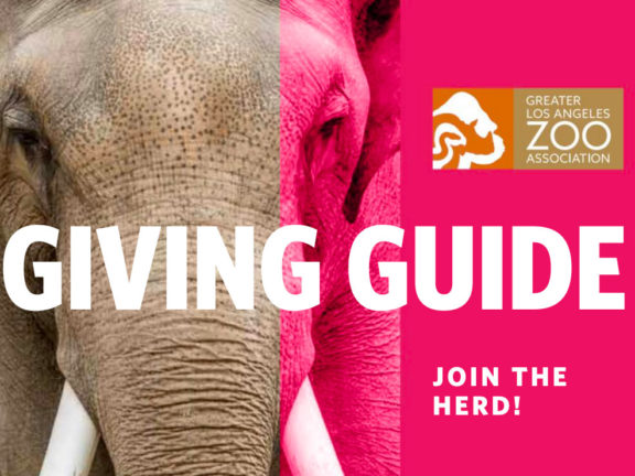 Giving Guide Giving Guide