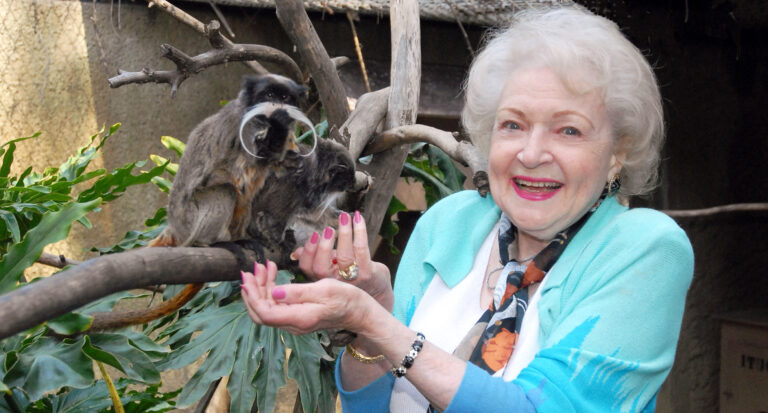 Betty's Animal Business Betty White dressed in a turquoise jacket and colorful scarf feeding two tamarins sitting on a branch
