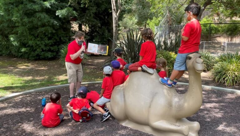 Zoo Camp Campers enjoying a story outside