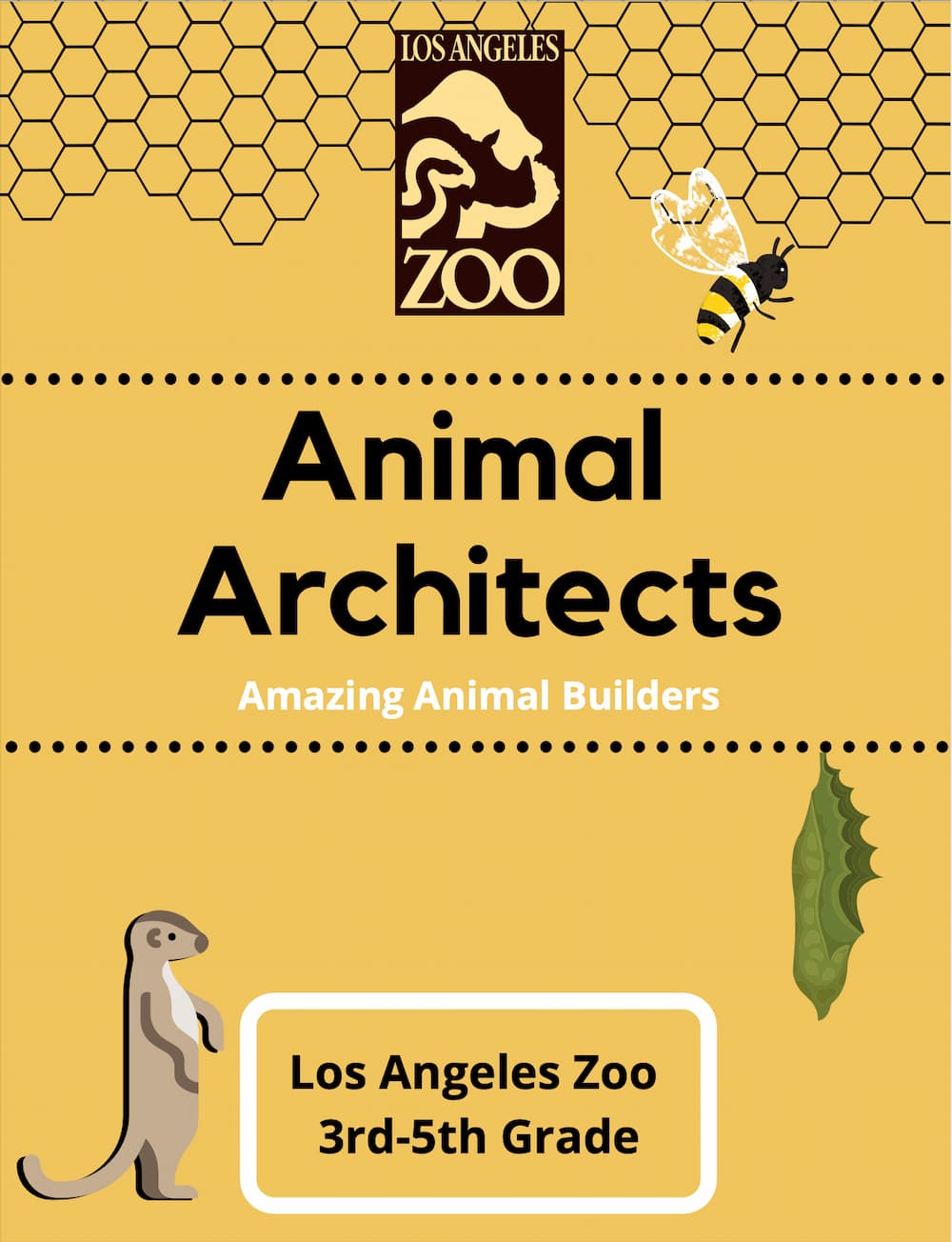 Animal Architects cover featuring a honeycomb pattern