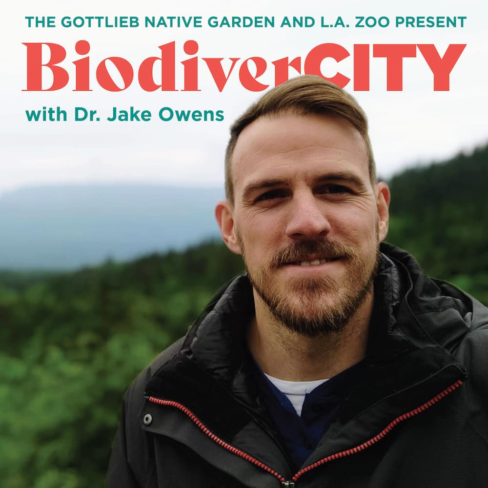 BiodiverCity Podcast cover