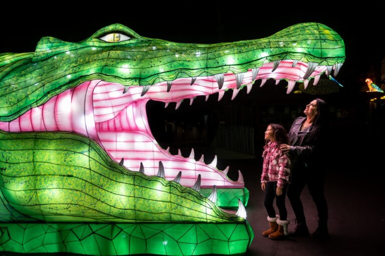 Zoo Update from GLAZA president Tom Jacobson - November 2022 People standing inside a giant illuminated crocodile mouth