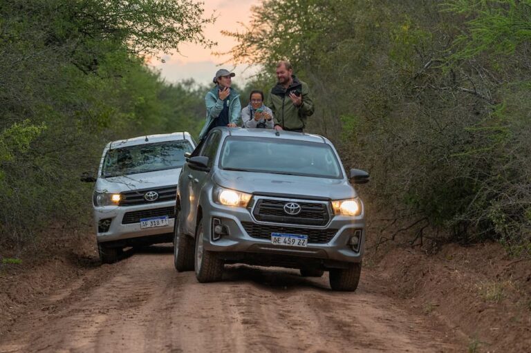 Field Notes: Argentina with Dr. Jake Owens <strong>The team worked in remote areas of Argentina's national parks. </strong> Photo by Dr. Jake Owens
