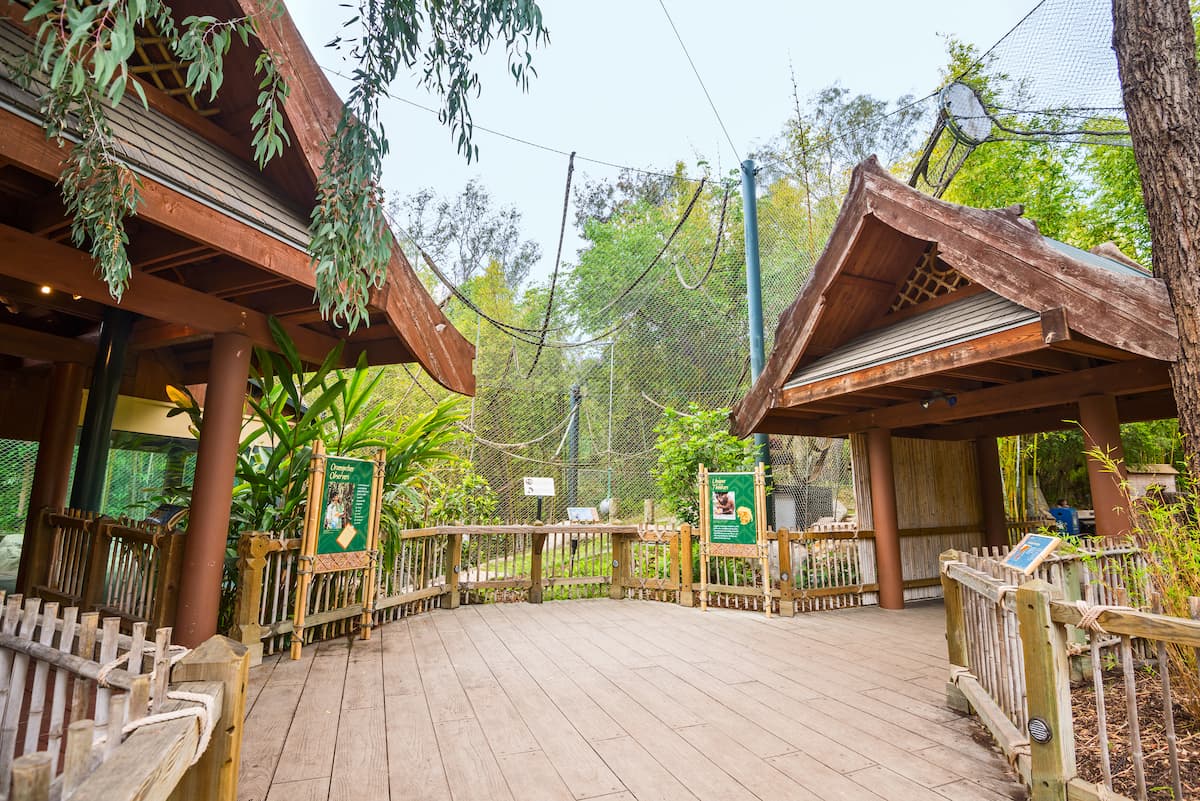 The visitor pathway inside the Los Angeles Zoo's orangutan habitat