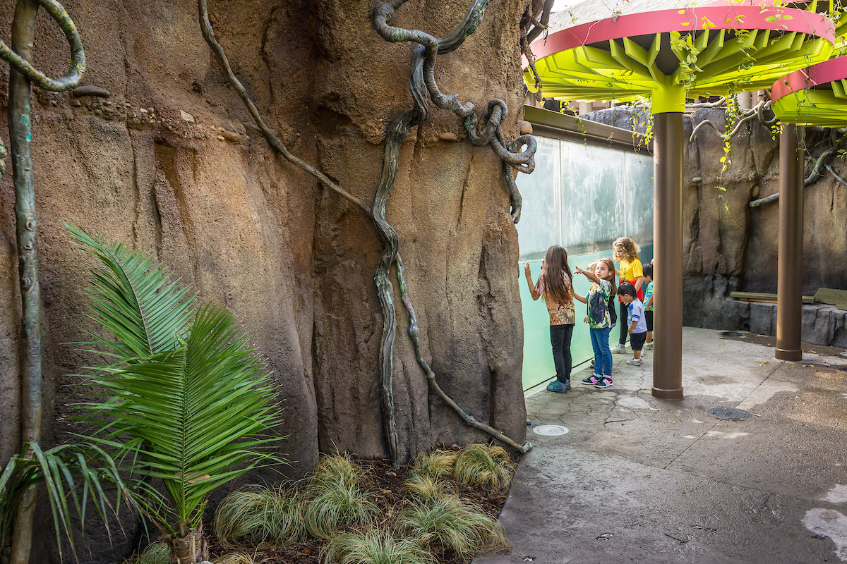 Children stand with their hands pressed up against the glass of a large aquarium in a jungle setting