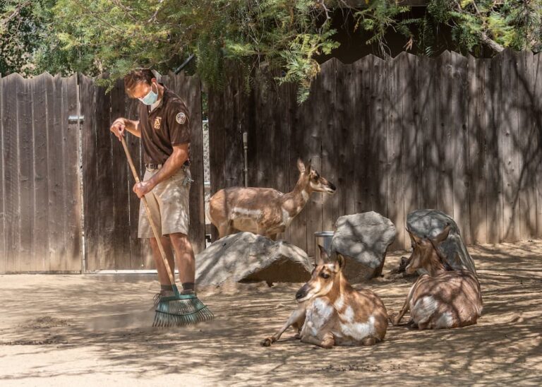 Behind the Scenes with Keepers - Los Angeles Zoo and Botanical Gardens