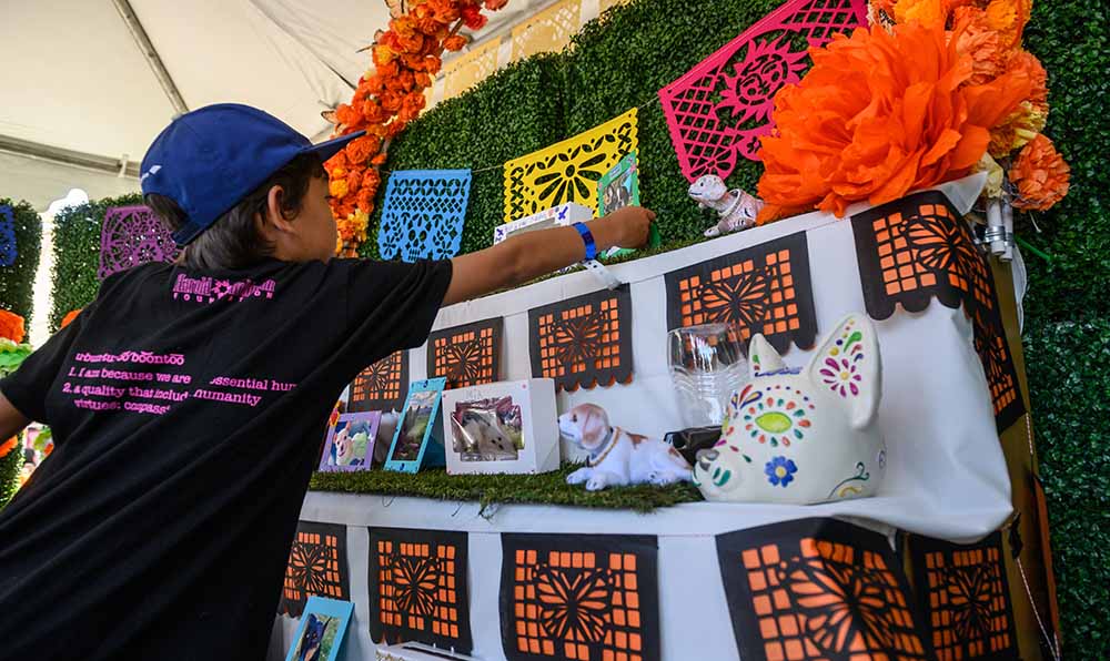 Child placing his remembrance in the ofrenda