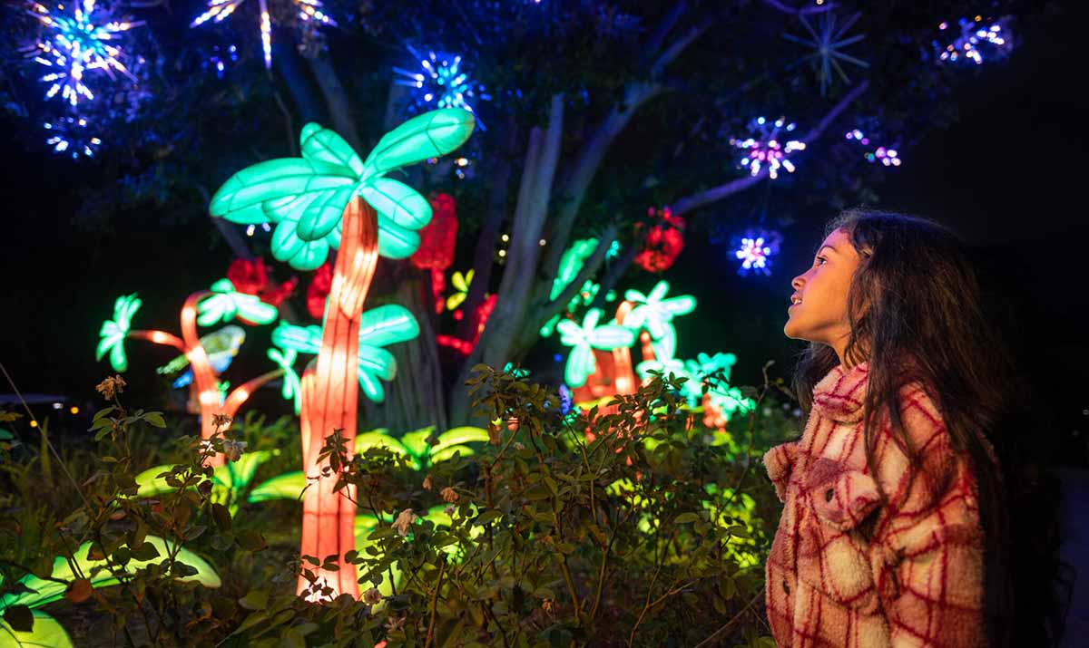 Child at L.A. Zoo Lights