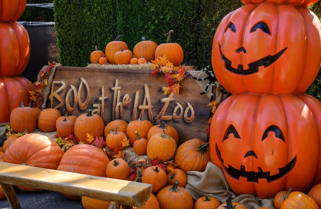 Pumpkin patch at Boo at the L.A. Zoo