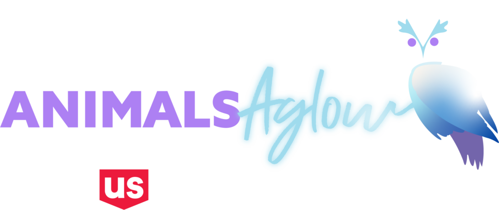 L.A. Zoo Lights presented by US Bank