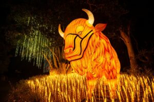 Bright yellow animal at L.A. Zoo Lights: Animals Aglow