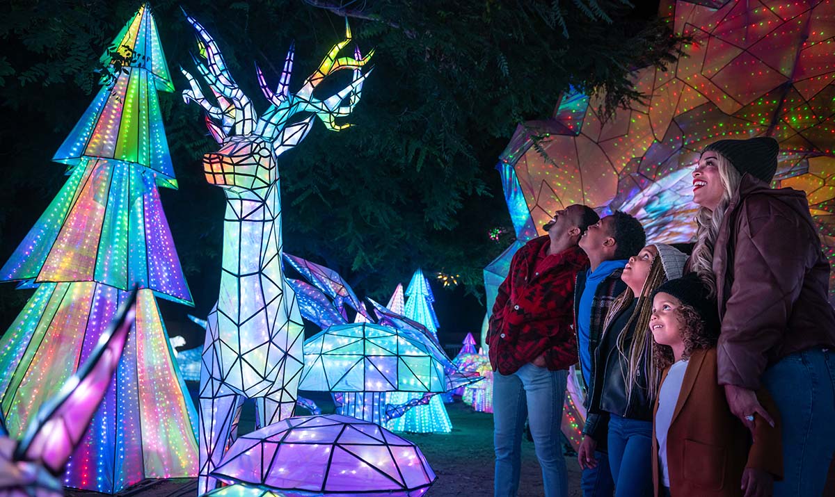 A family enjoying a light display at L.A. Zoo Lights: Animals Aglow