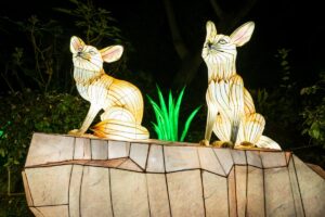 Fennec fox lanterns at L.A. Zoo Lights: Animals Aglow