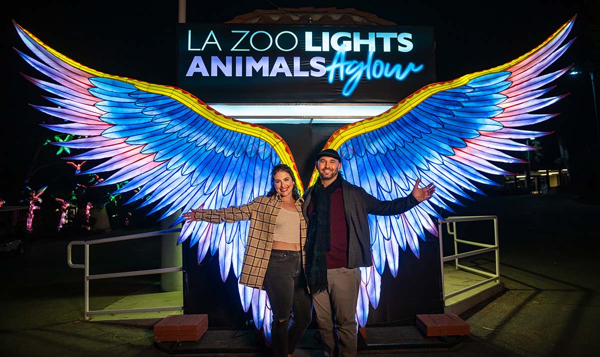 People standing in front of a light-up wing display at L.A. Zoo Lights: Animals Aglow