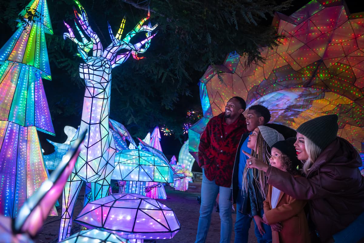 A group of people enjoying a display at L.A. Zoo Lights: Animals Aglow