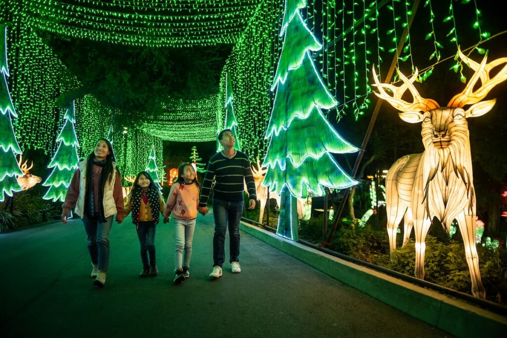 A family walking and enjoying L.A. Zoo Lights: Animals Aglow
