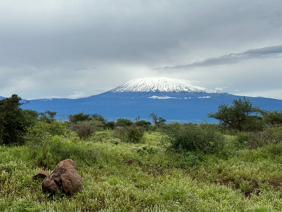 Snow-capped Mount Kilimanjaro rises above a grassy plain. Photo by Carolyn Greene
