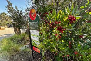 Native bird and plant sign at the Channel Islands Bird Garden.