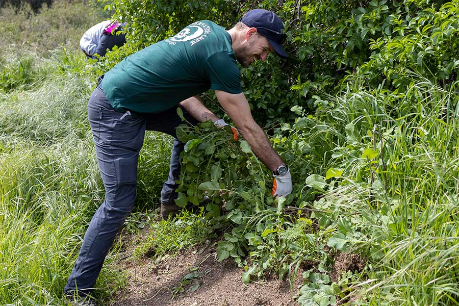 Dr. Jake Owens joins Zoo Conservation Committee volunteers to pull invasive plants.