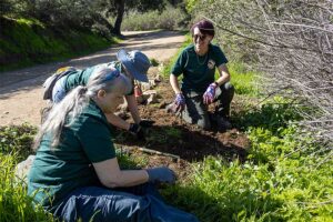 L.A. Zoo Conservation Committee Volunteers restoring Fern Dell West Trail inside Griffith Park.