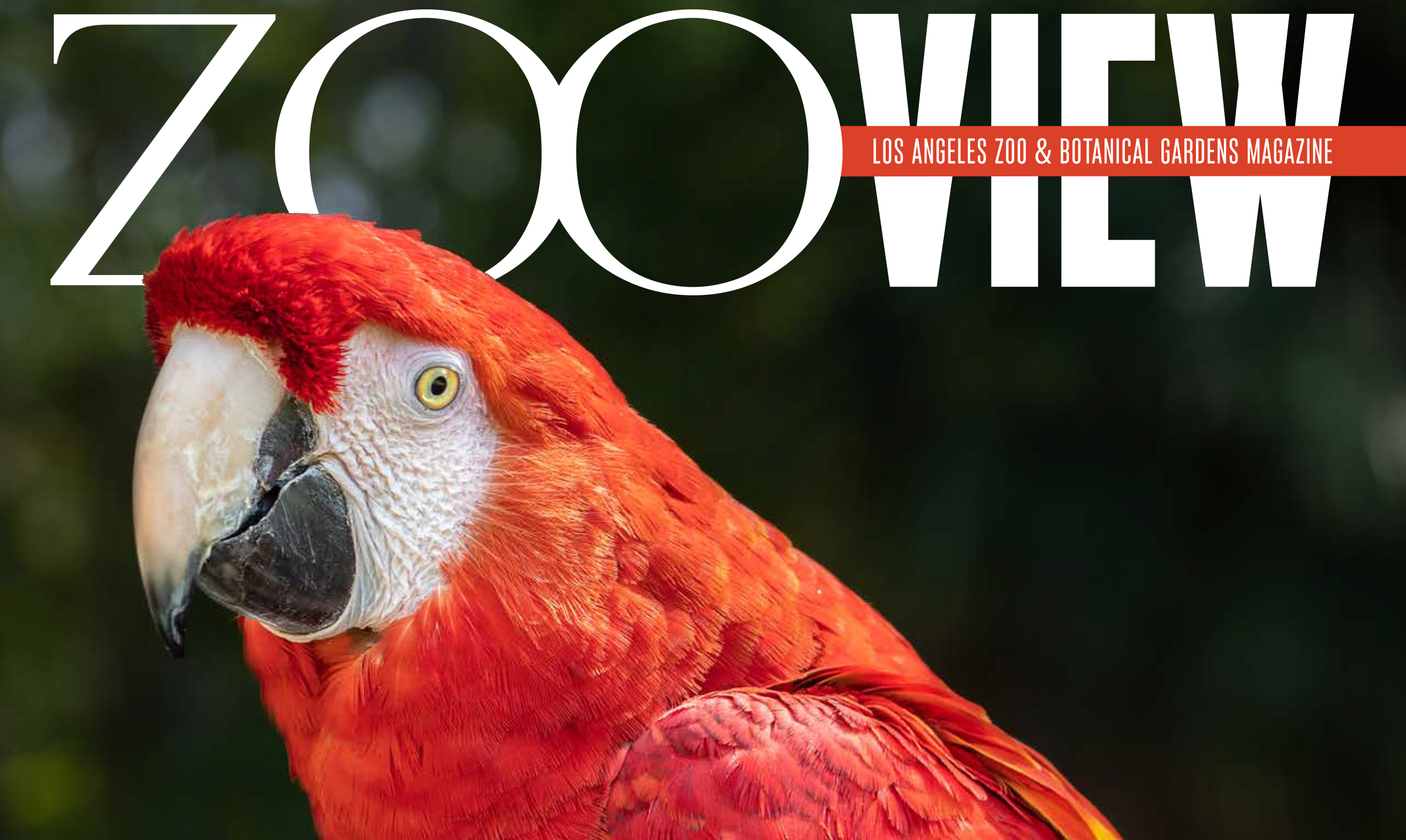 Zoo View magazine cover featuring a scarlet macaw