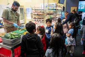 Zoo Pal kids learn about animal feeding