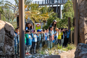 Kids in the Zoo Pals program watch the harbor seals.