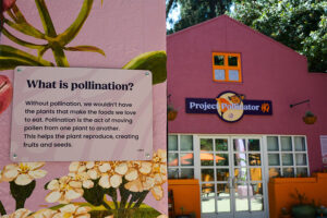 What is pollination plaque on Project Pollinator HQ buiding