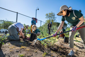 Volunteers from L.A. Zoo and Theodore Payne Foundation install California Native Gateway Garden