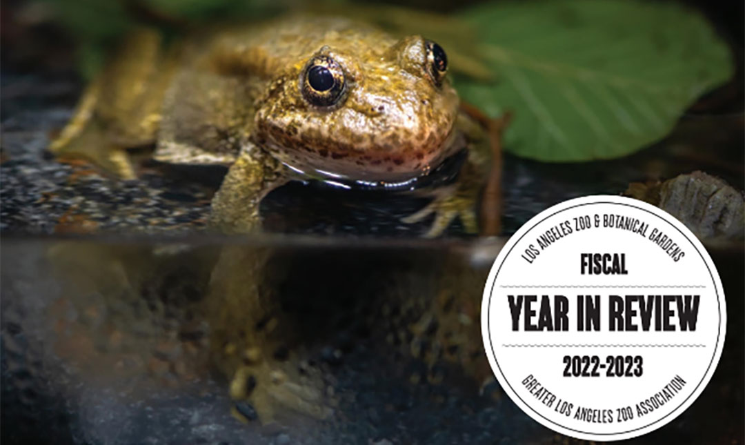 Year in Review: LA Zoo annual report