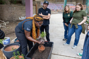 Volunteering planting native garden for Project Pollinator