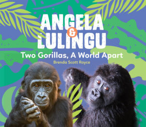 Angela & Lulingu book cover