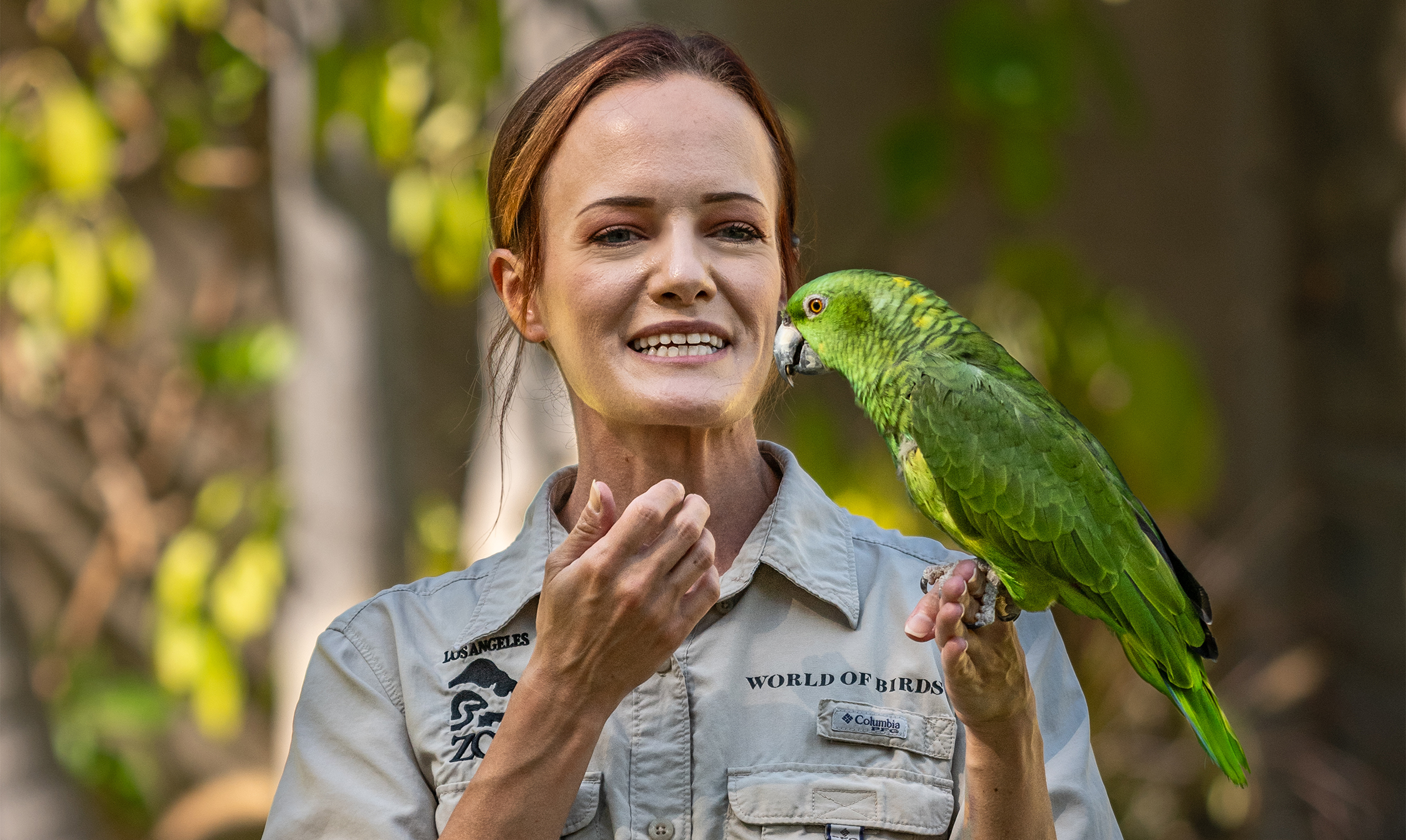 A yellow-naped Amazon parrot perched on a keeper's hand