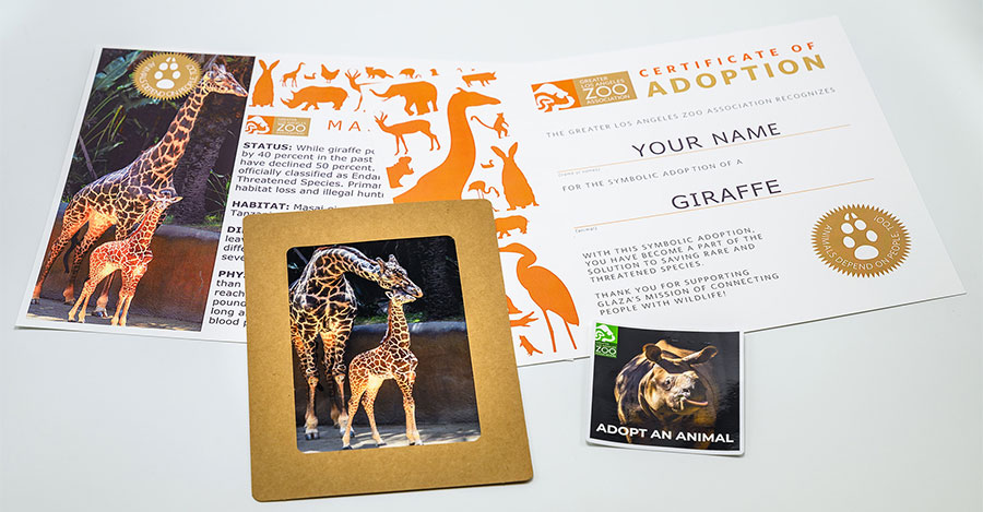 Father's Day ADOPT an animal certificate and brochure