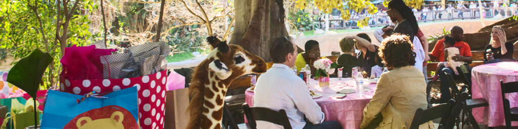 Hosting a birthday party at the Zoo