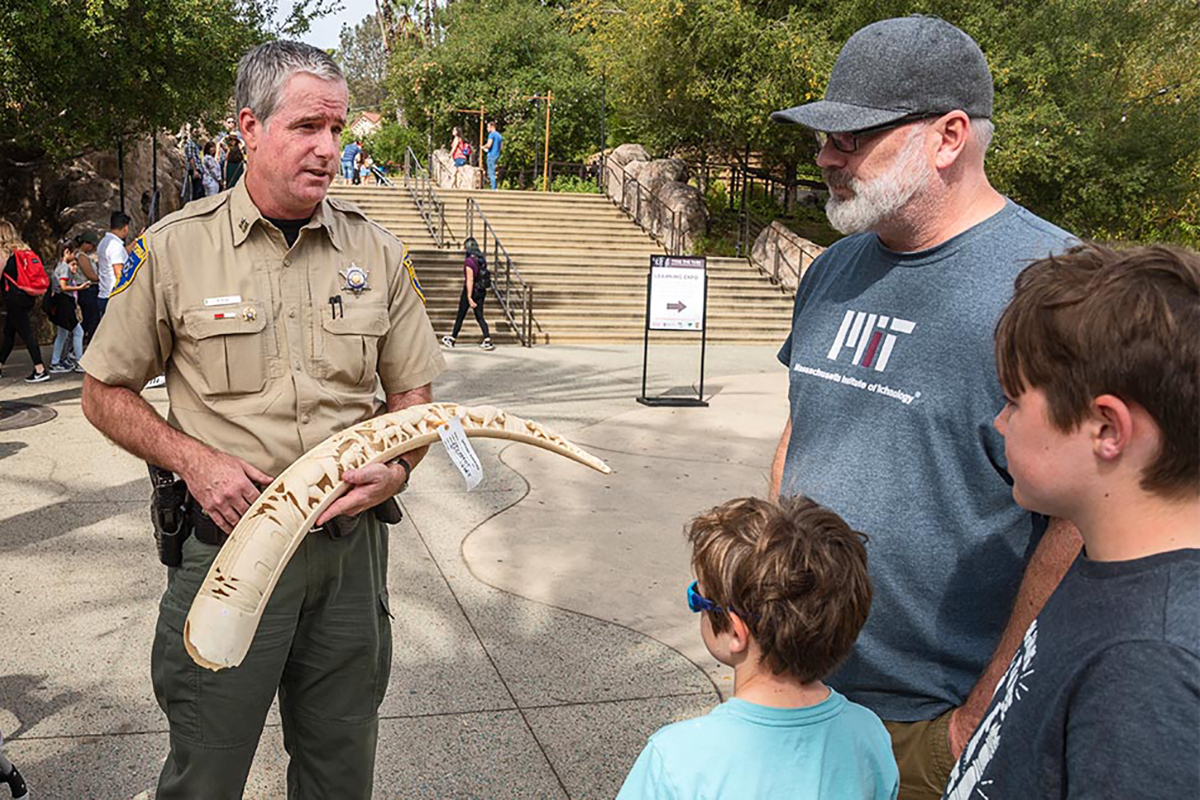 Curator displays Toss Tusks as part of the Zoo's Collaboration efforts.