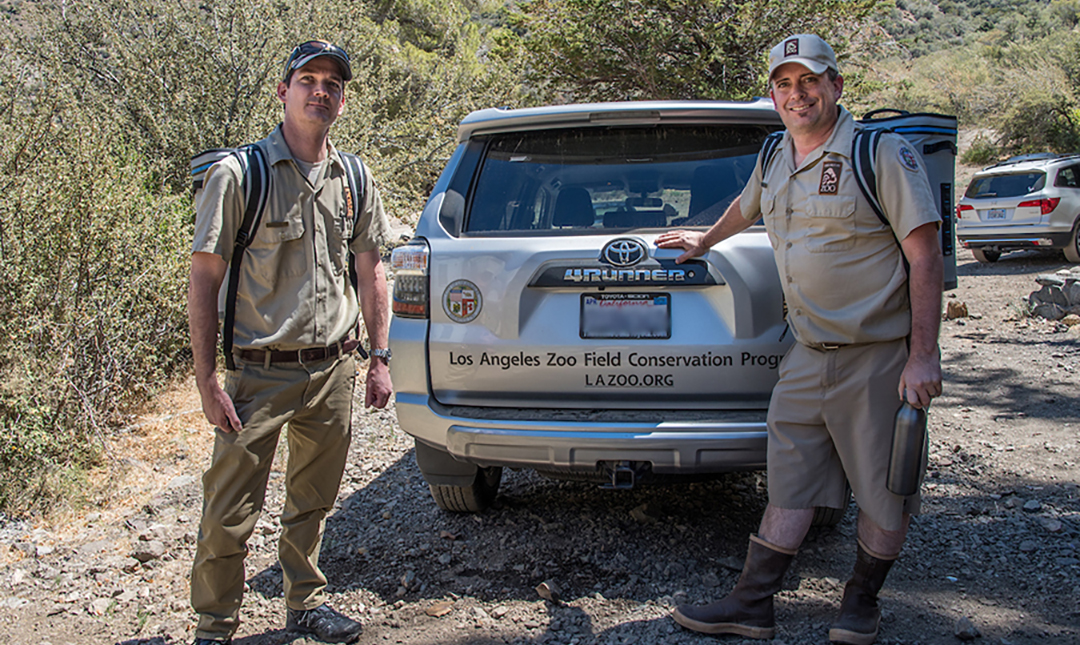 Zoo conservations with an SUV in the field.