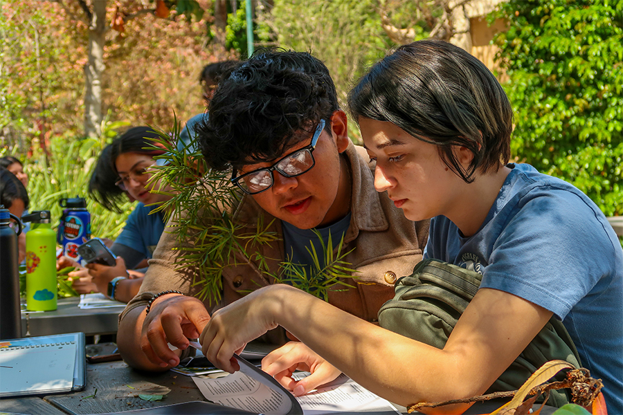 Paid Internship participants conduct field research.