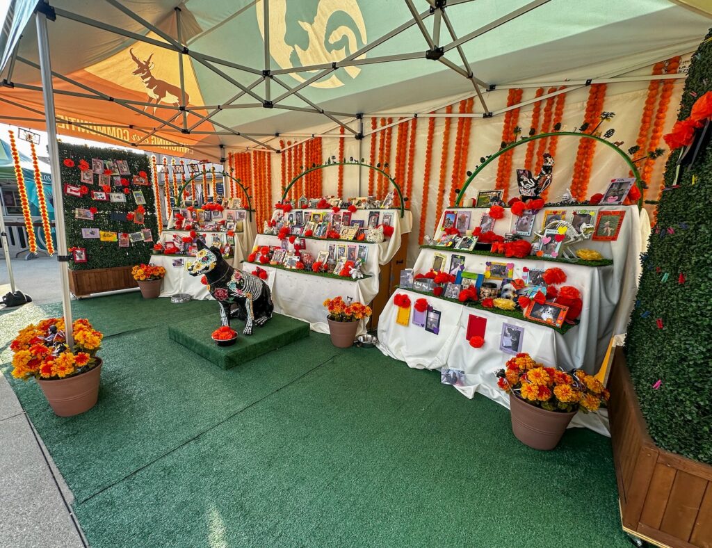 A colorful tented display featuring animal photos and flowers