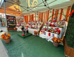 A colorful tented display featuring animal photos and flowers