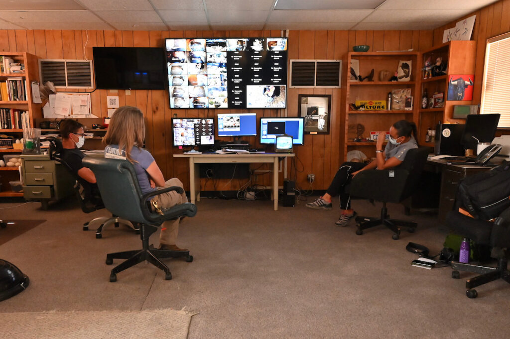 Three people sit in an older-style office in front of a huge spread of screens, each with its own condor habitat displayed.