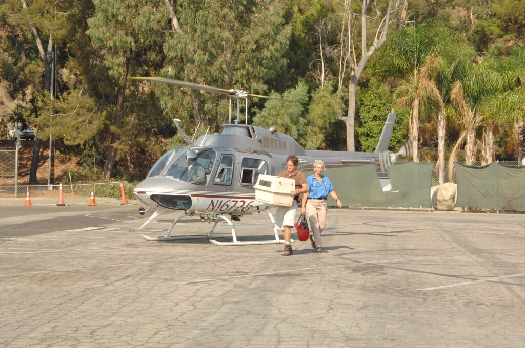 A man carries a crate with air holes away from a helicopter. 