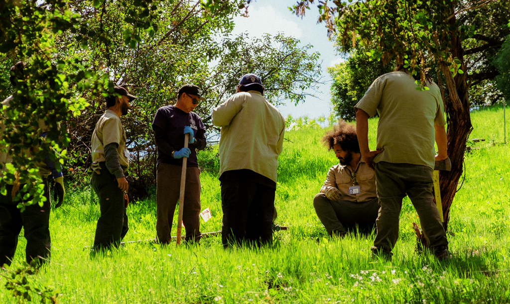 OBA staff working in the Zoos Oak woodlands.