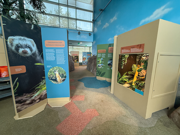 A room with exhibit panels and educational information