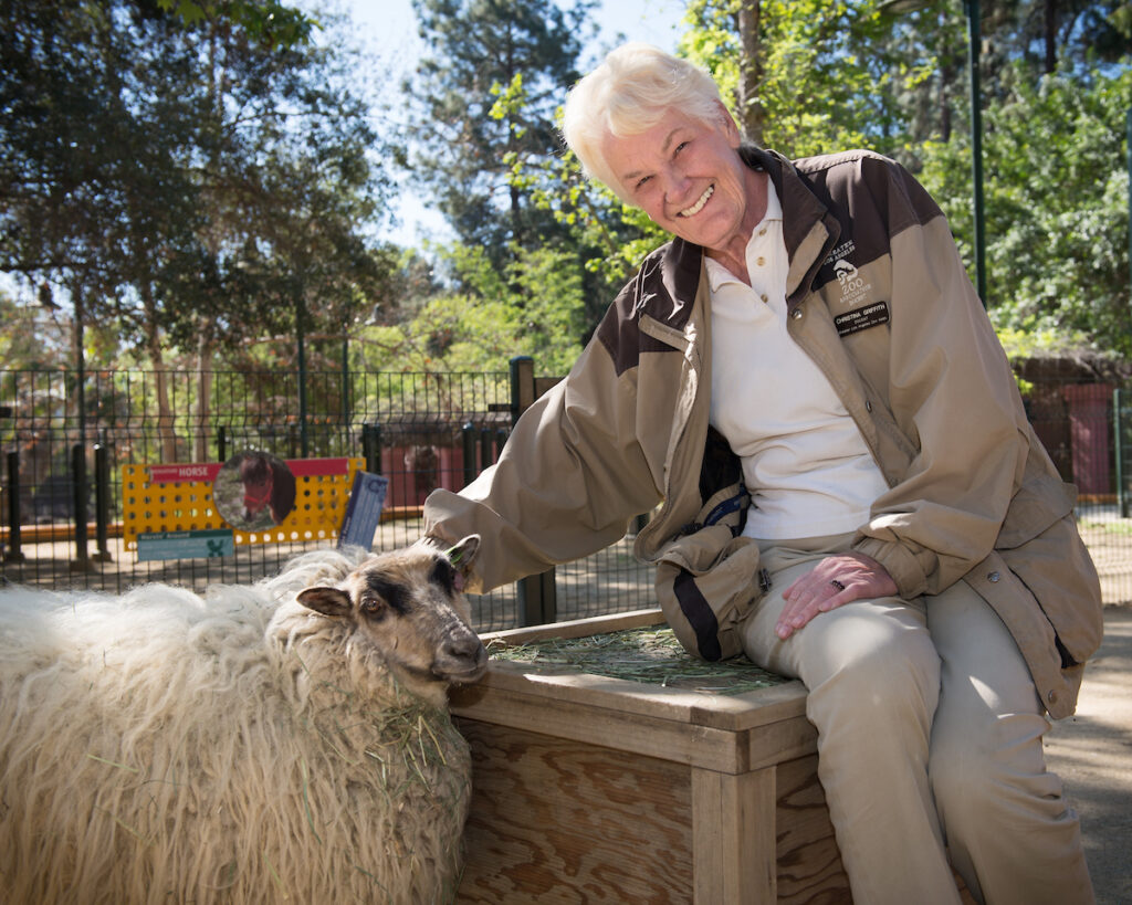 A volunteer in khakis smiles as she pets a very wooly sheep.
