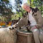 A volunteer in khakis smiles as she pets a very wooly sheep.