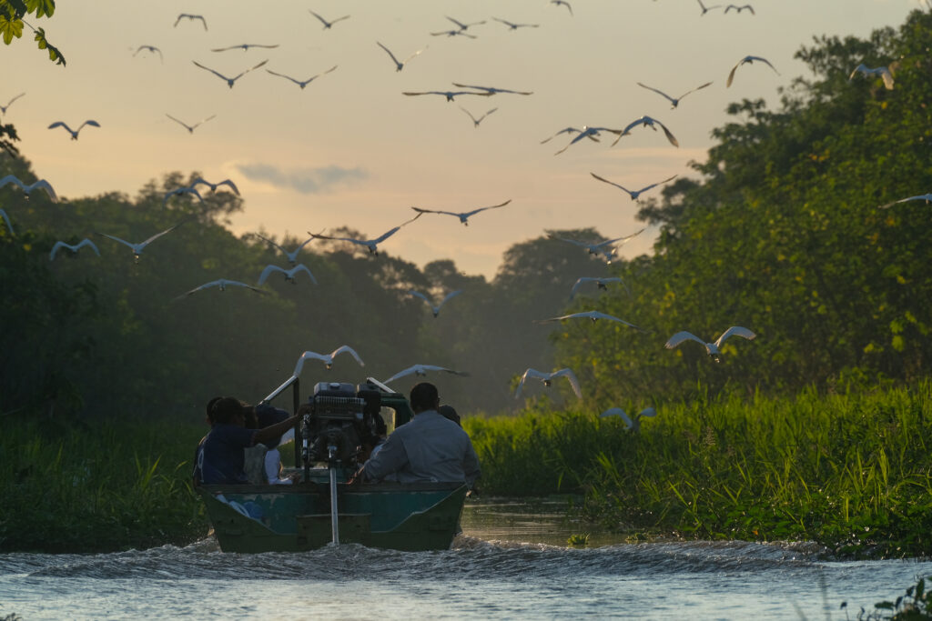 A group of students travel by boat down a river in Peri with a flock of birds flying in the near distance