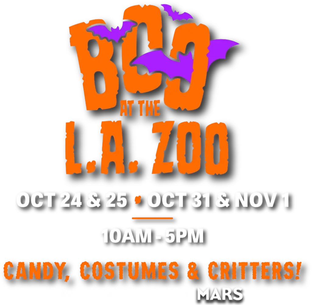 boo-at-the-zoo-banner-graphic
